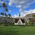 Grand Wailea Maui Review: Honest Pros & Cons of the Waldorf Astoria Resort
